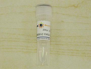 生物素标记EMSA探针－STAT5 (0.2μM)